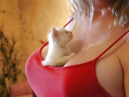 Huge Breasts (With Cats) #14844039