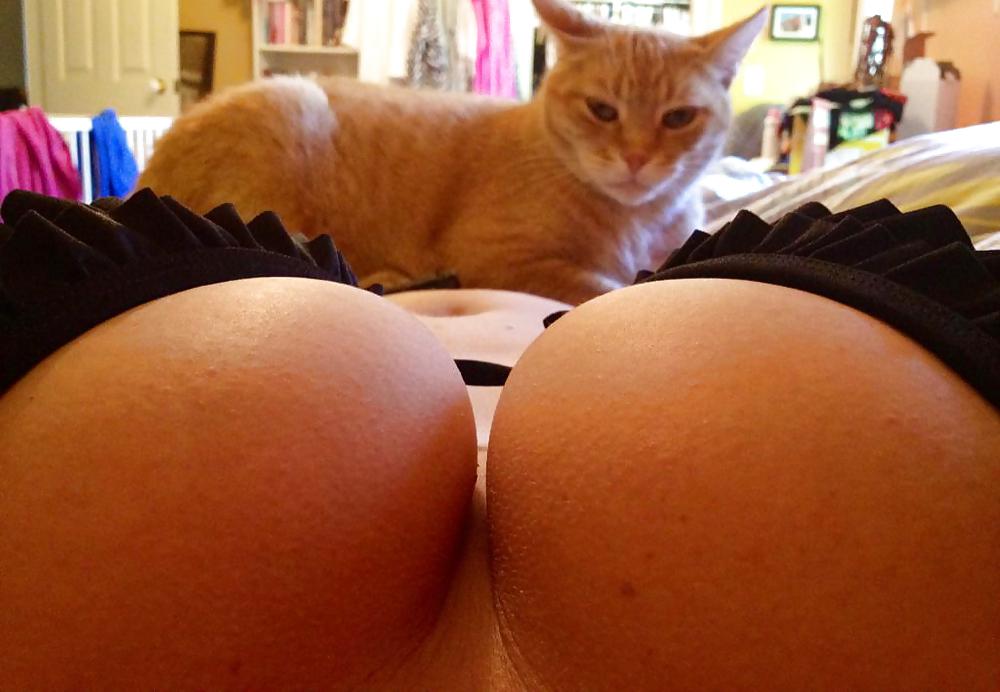 Huge Breasts (With Cats) #14844059