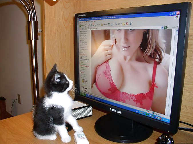 Huge Breasts (With Cats) #14844065