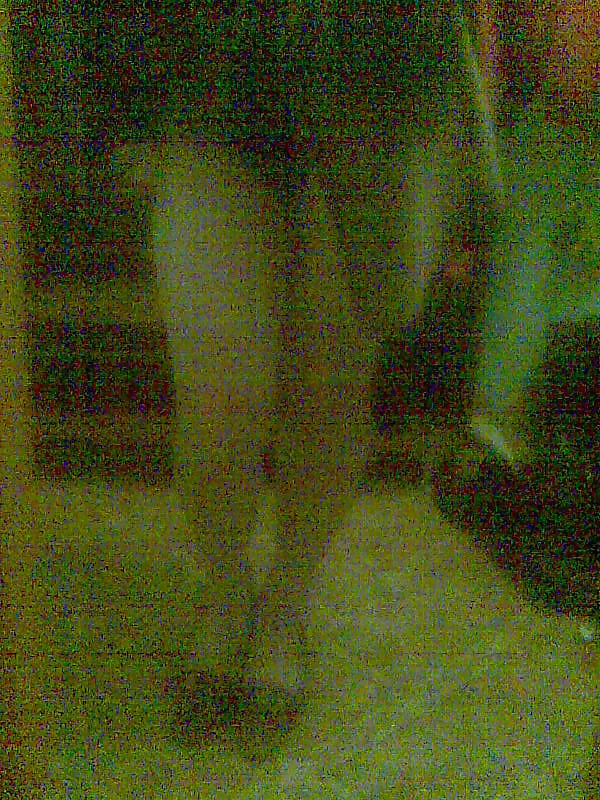 ディナ2
 #12729486