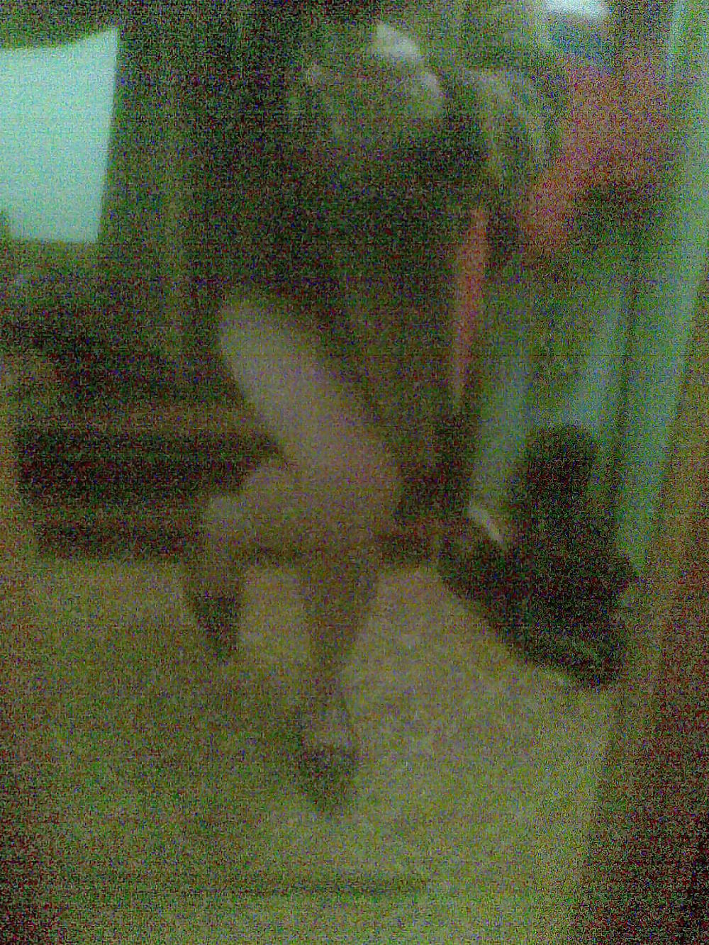 ディナ2
 #12729512