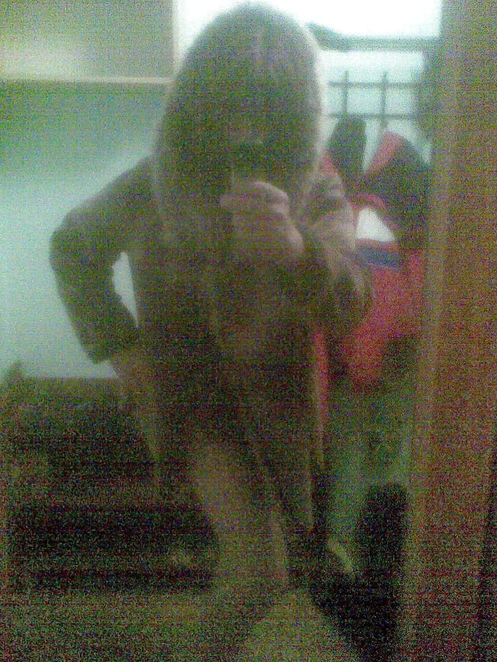 ディナ2
 #12729524