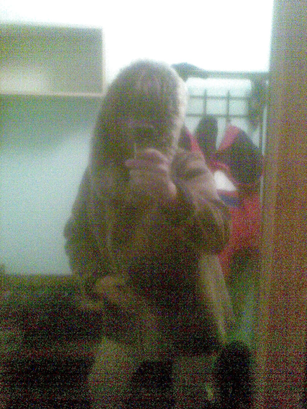 ディナ2
 #12729532