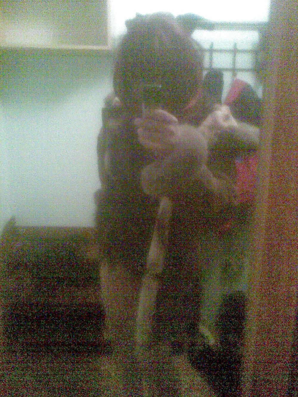 ディナ2
 #12729544