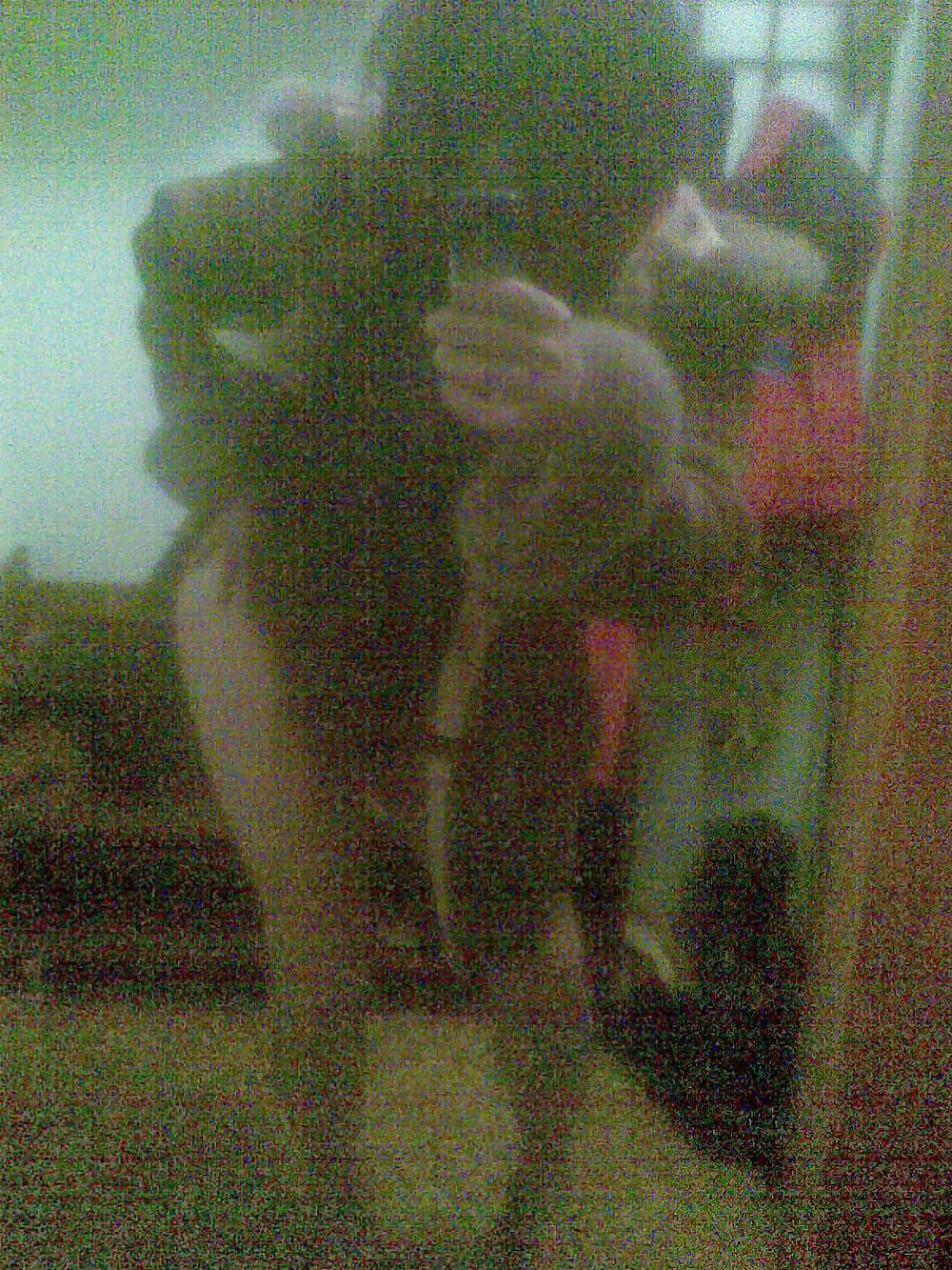 ディナ2
 #12729554