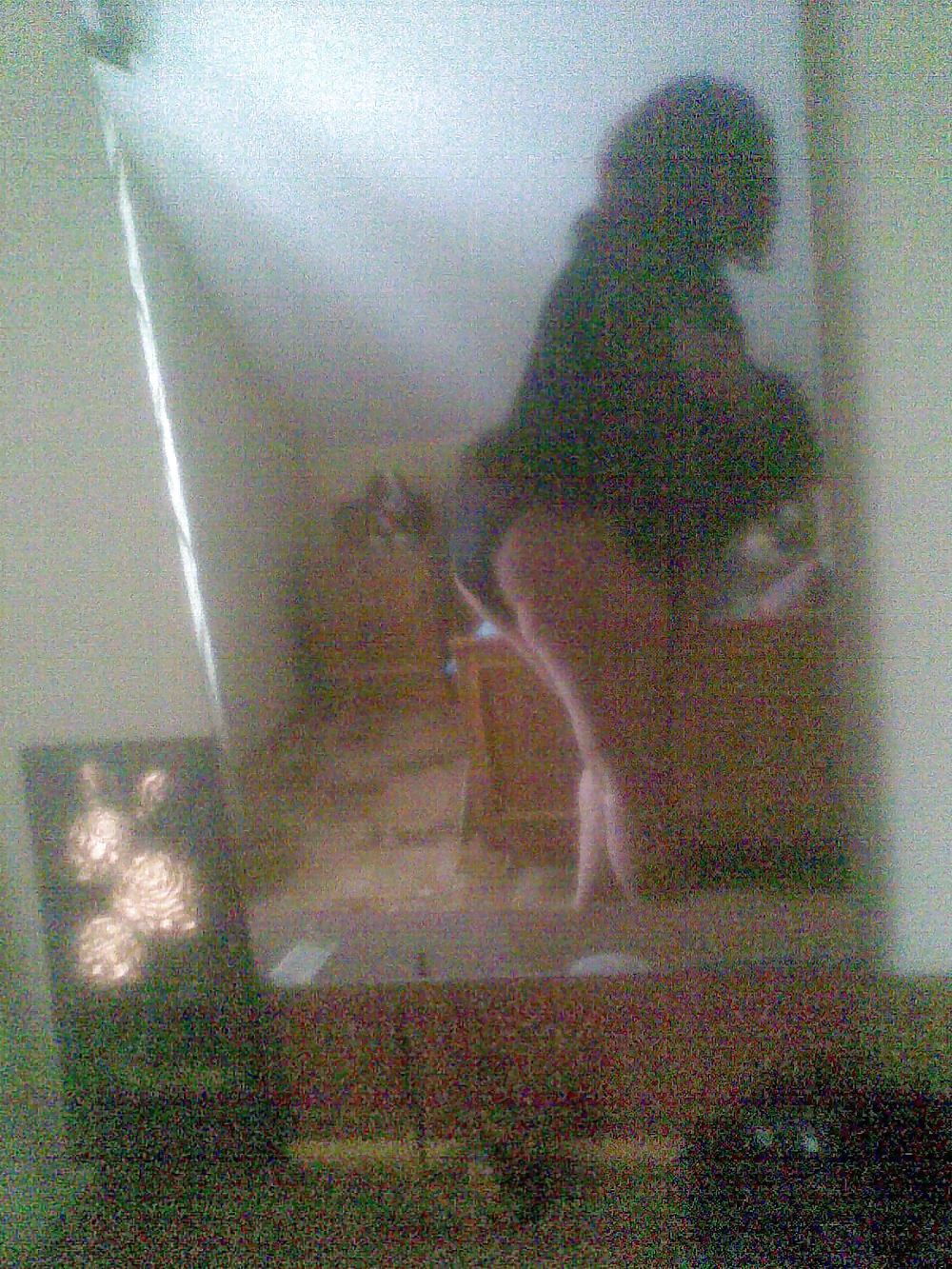 ディナ2
 #12729614