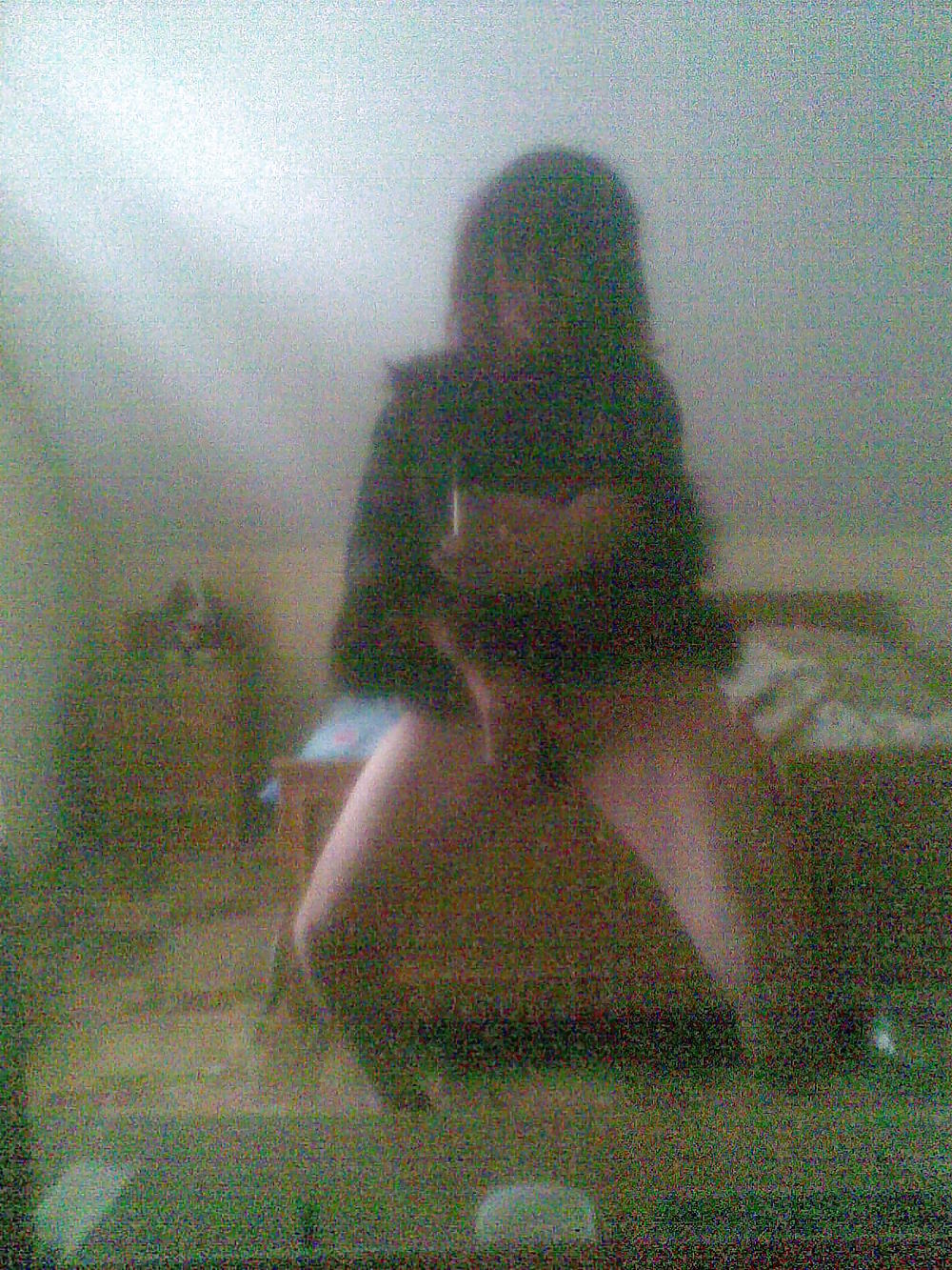 ディナ2
 #12729630