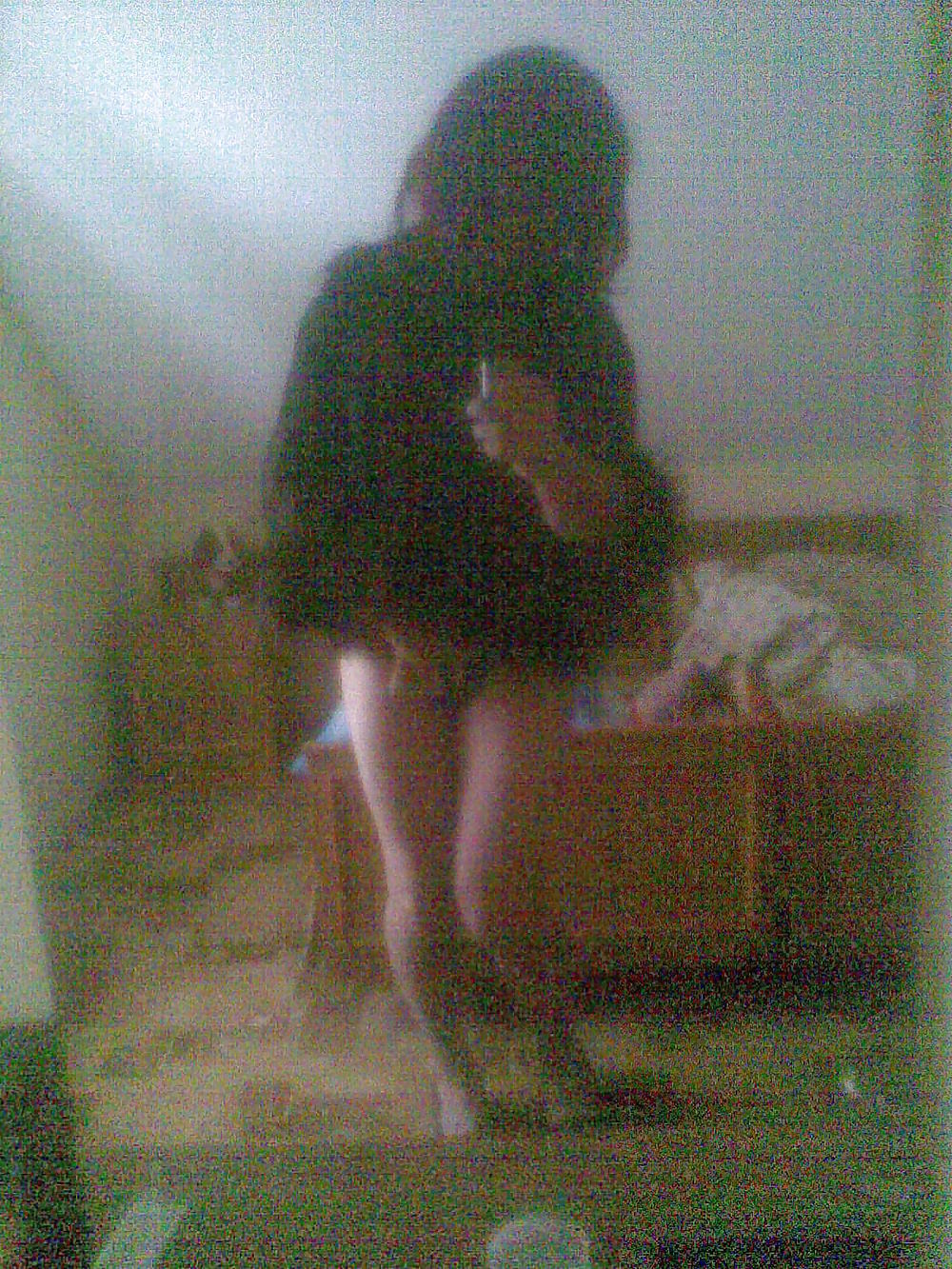 ディナ2
 #12729647