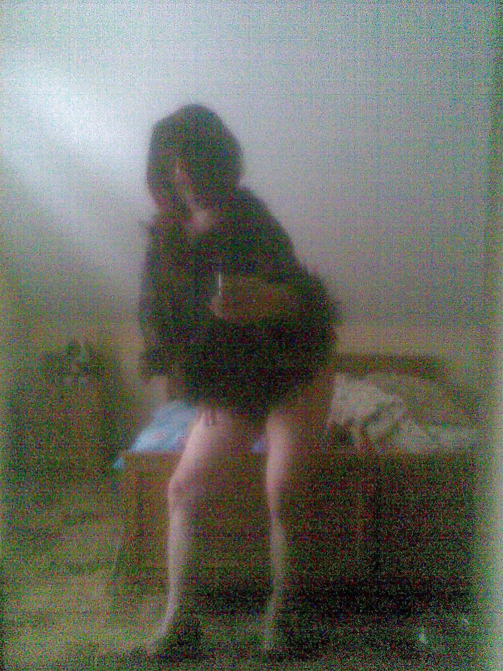 ディナ2
 #12729654