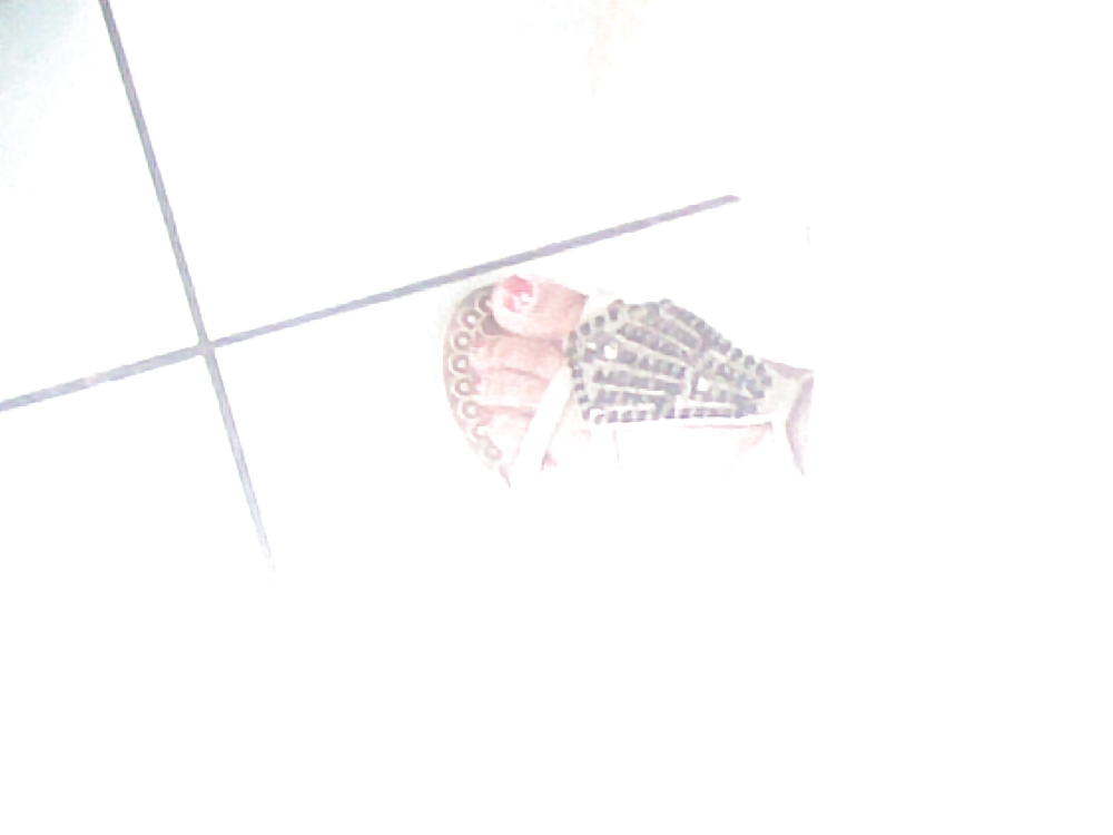 Pies árabes
 #21419390