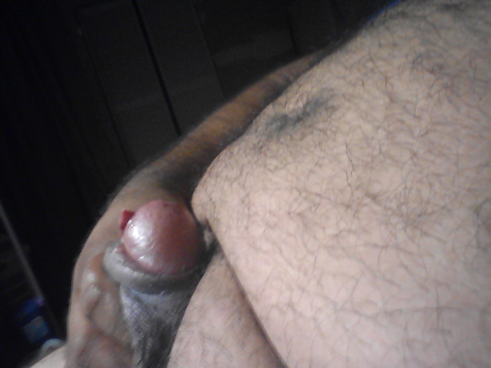 My cock for bbws 