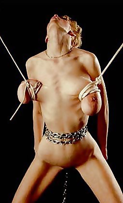 Tied, whipped and creamed on.... #9011462