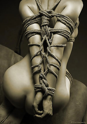 Shibari et bondage #4502402