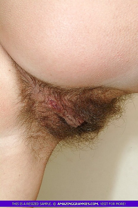 Hairy Pussies #1280502