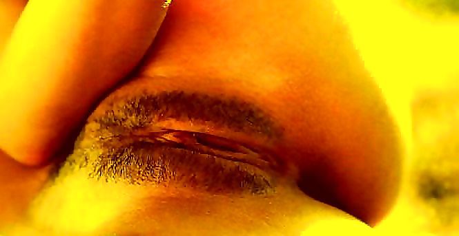 Mulheres maranhenses
 #10056309