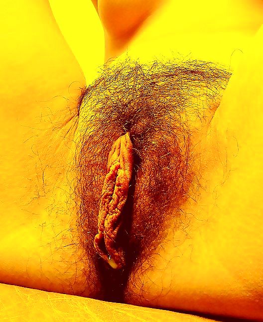 Mulheres maranhenses
 #10056339