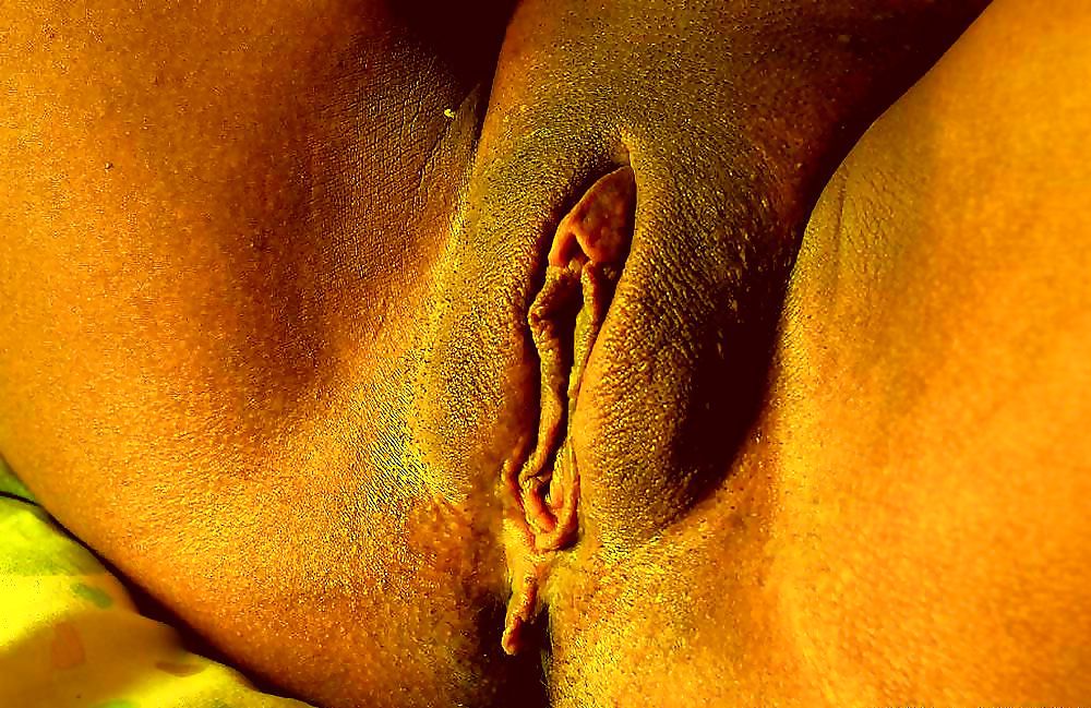 Mulheres maranhenses
 #10056343