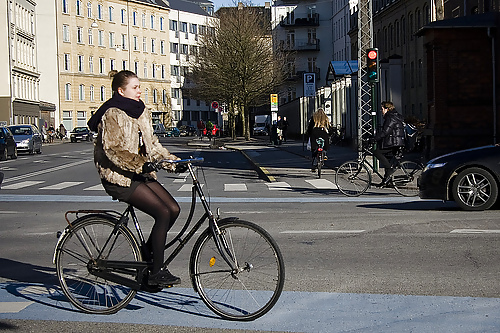 Femmina sexy gambe nylon bicicletta
 #18018208