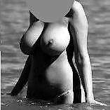 MOI #11566416