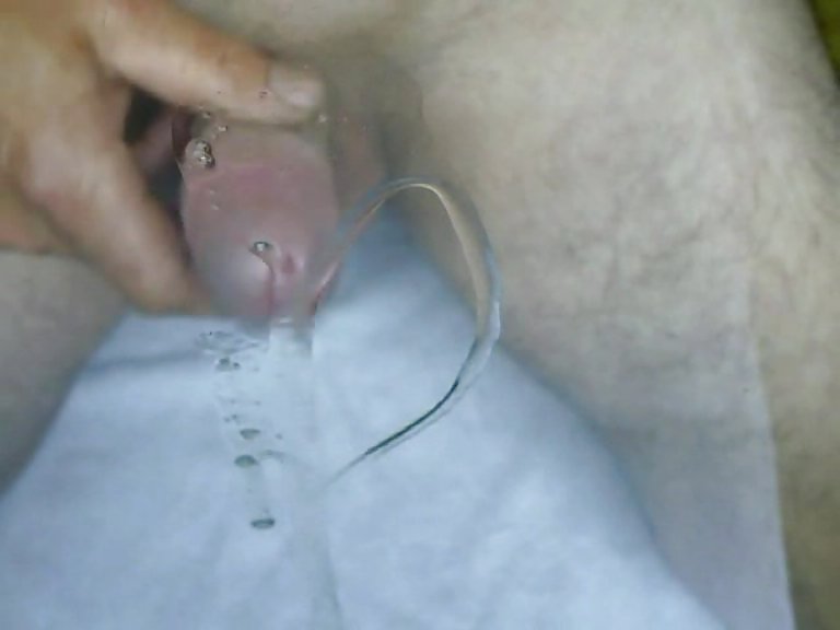 Scheibenwichser
 #13674538