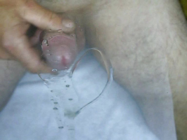 Scheibenwichser
 #13674545