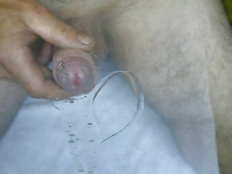 Scheibenwichser
 #13674554