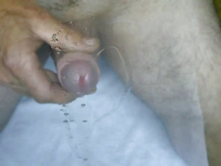 Scheibenwichser
 #13674567