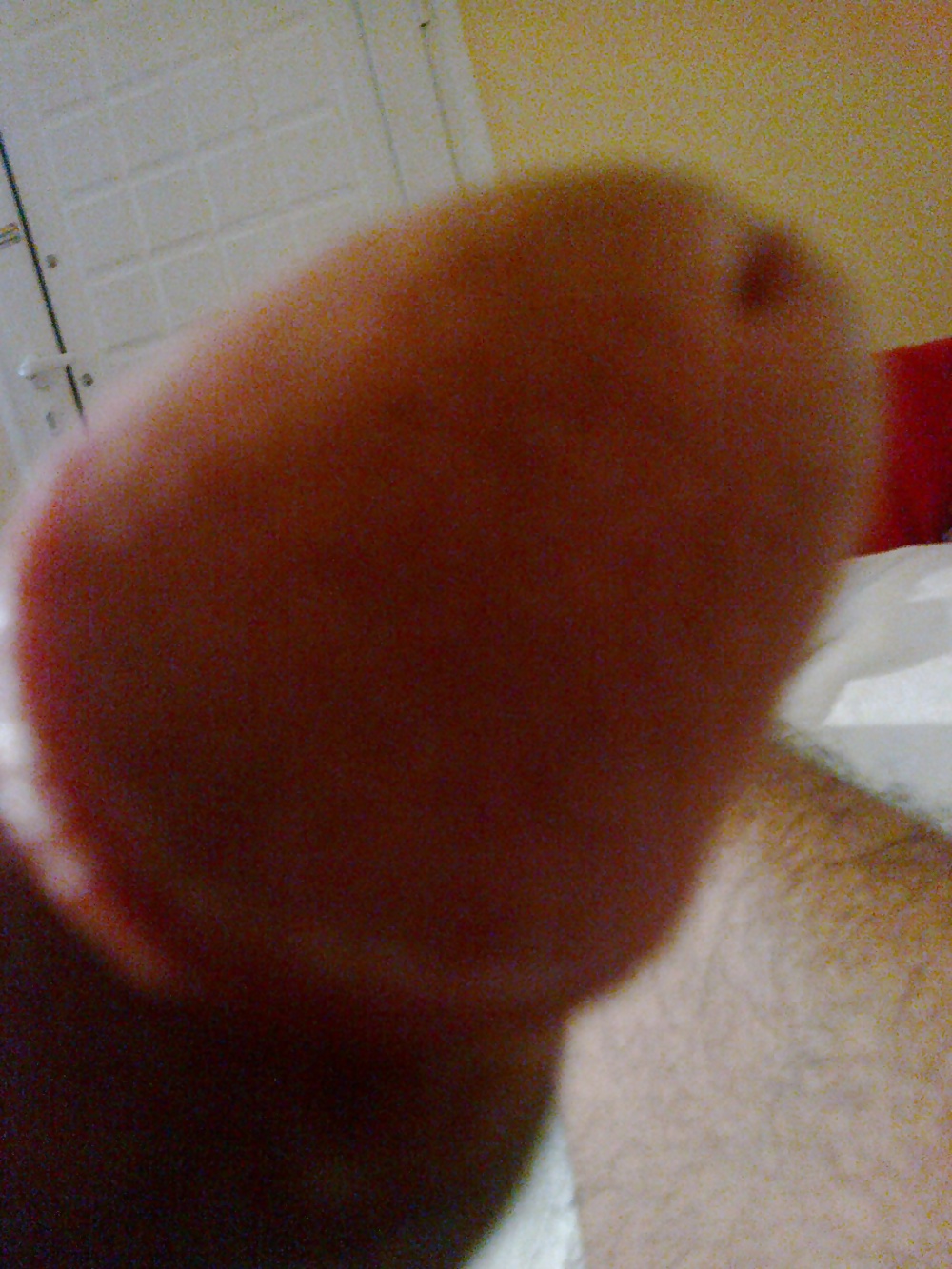 My normal cock...for you #4260456