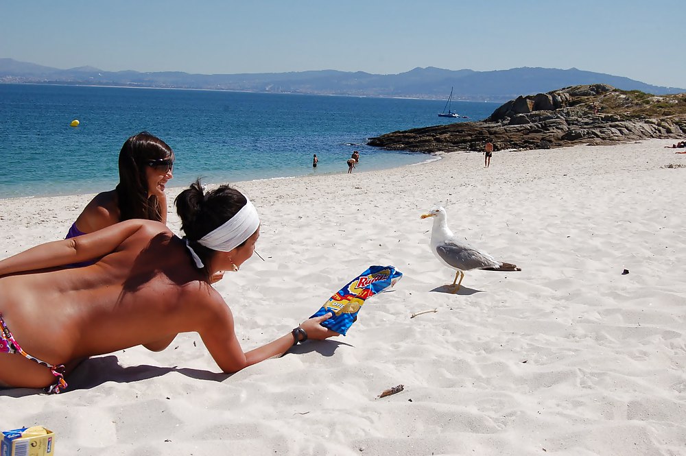 Chicas en la playa
 #17156934