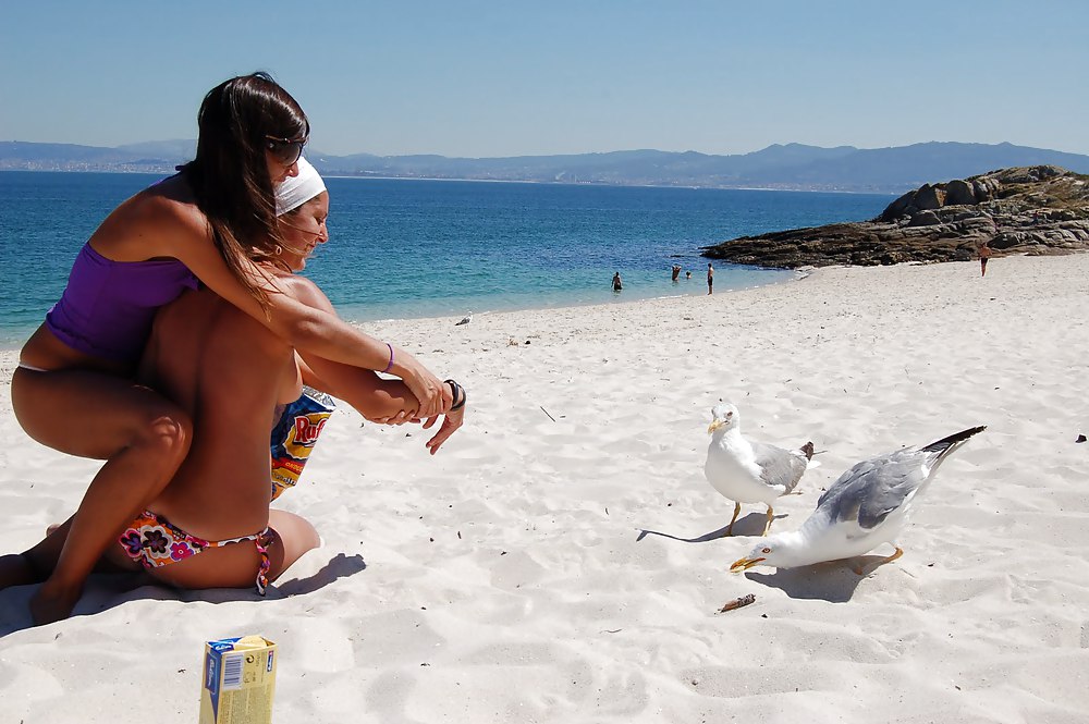 Chicas en la playa
 #17156942