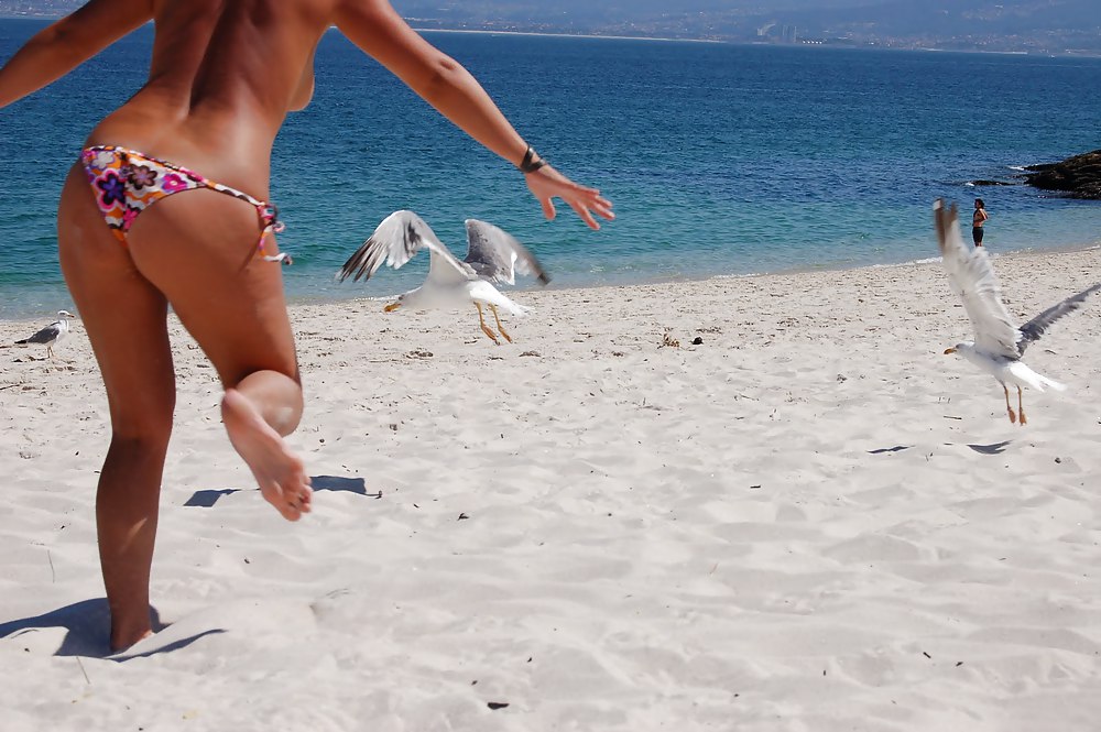 Chicas en la playa
 #17156949