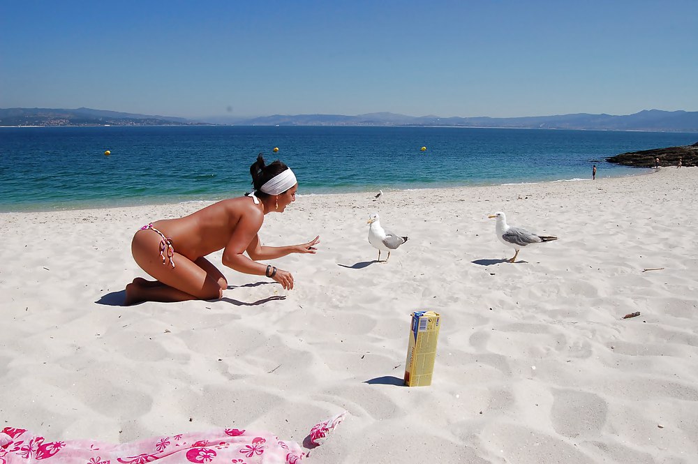 Chicas en la playa
 #17156957