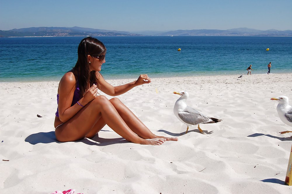 Chicas en la playa
 #17157024