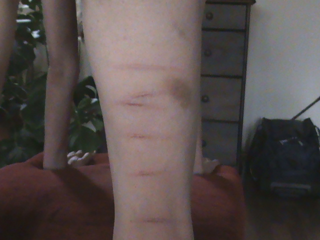 スパンキング
 #8780599