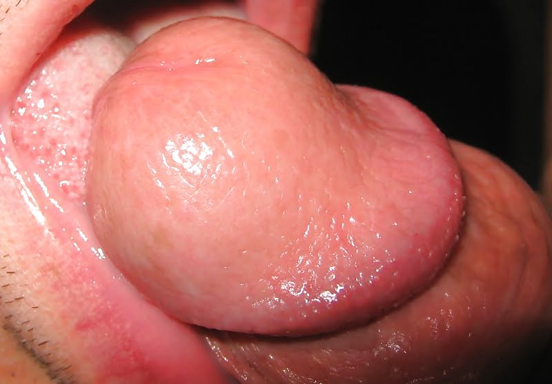 My mouth for uncut cock #16610576