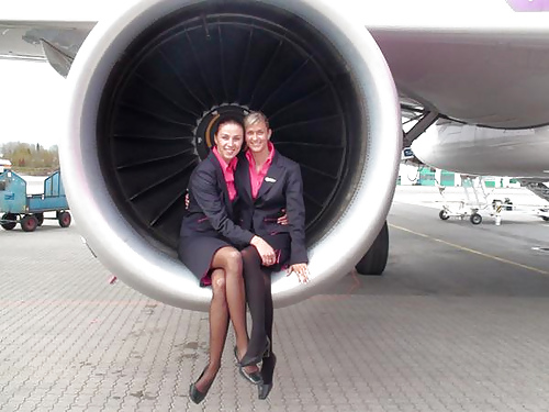 Flight Attendants #3950106