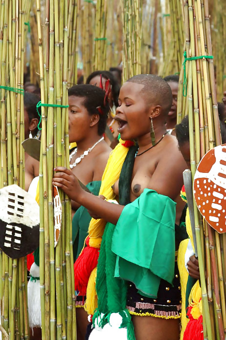 Annuelle Reed-dance Dans Swaziland #8036169