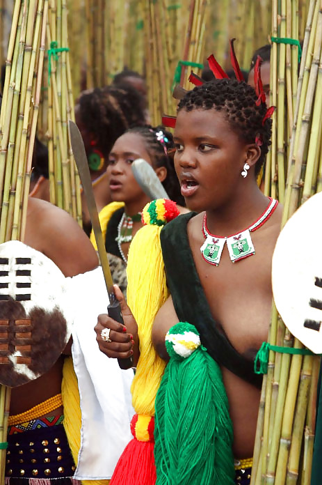 Baile anual de la caña en swazilandia
 #8036189