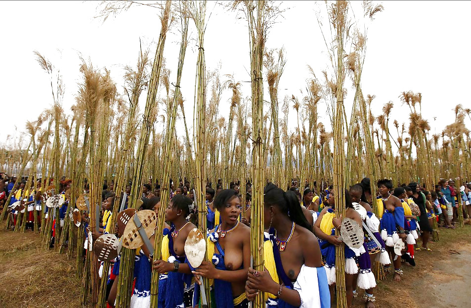 Yearly reed-dance in Swaziland #8036237