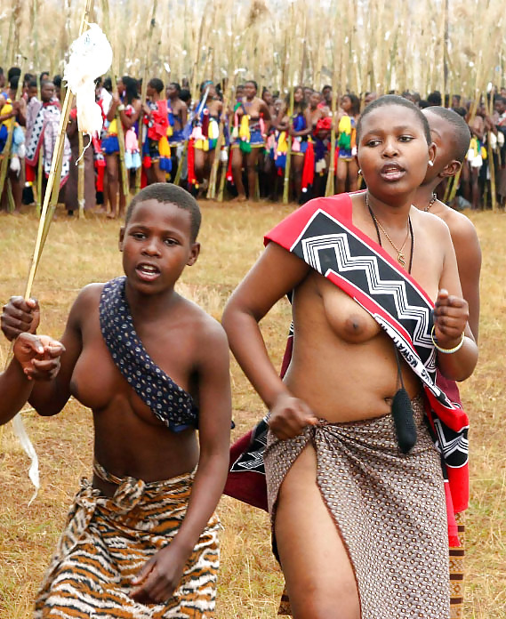 Annuelle Reed-dance Dans Swaziland #8036251
