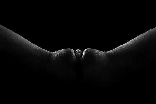 Black & White #8443124