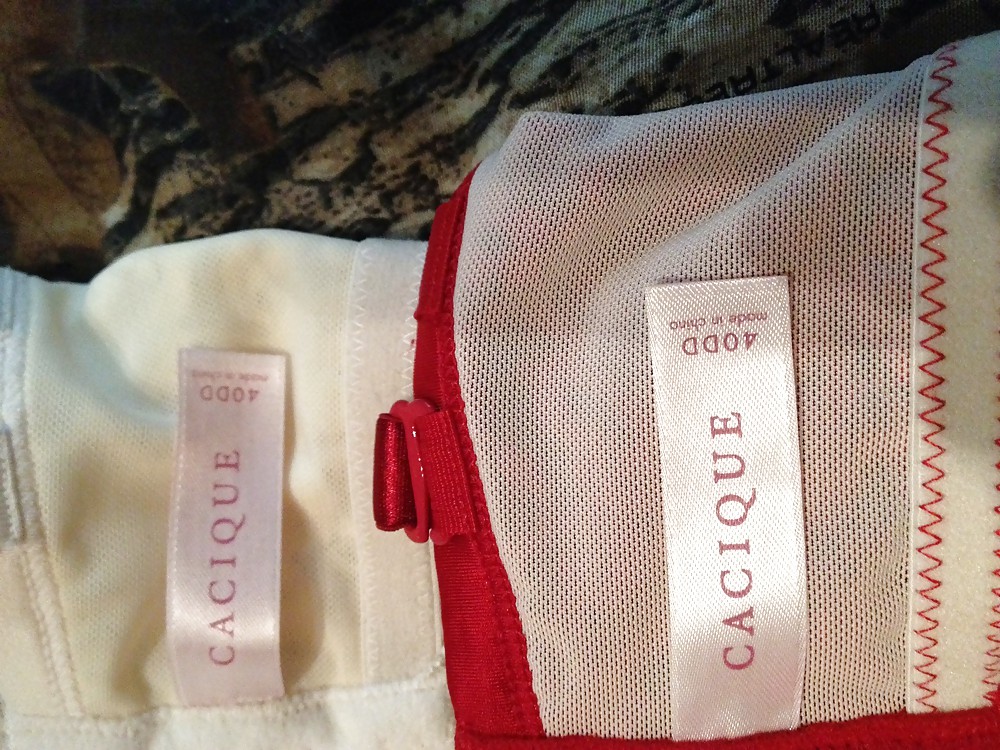 El botín de hoy #4
 #17868681