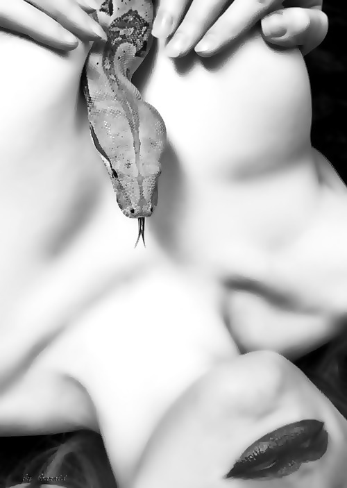 Little of this, lots of that #22783183