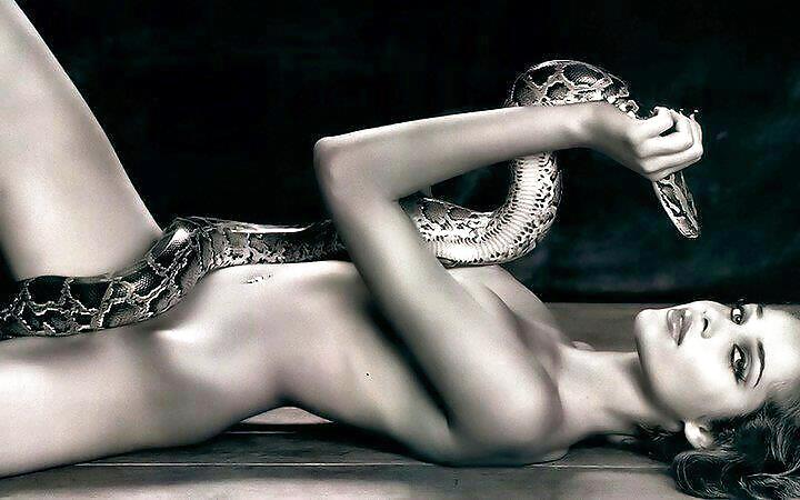 Little of this, lots of that #22783207