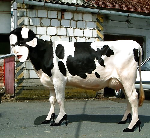 Cosa rara
 #12099757