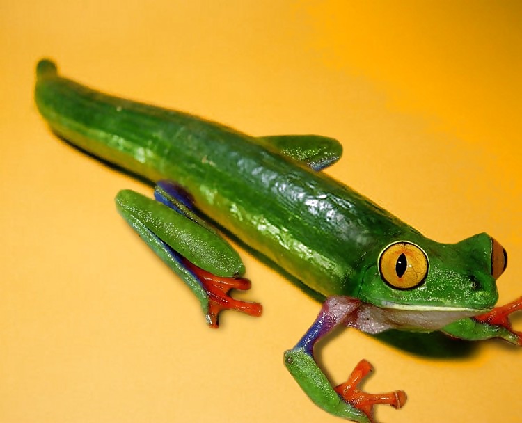 Cosa rara
 #12099776