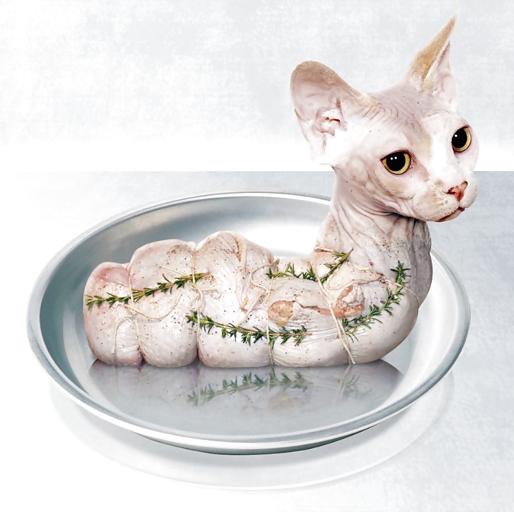 Cosa rara
 #12099975