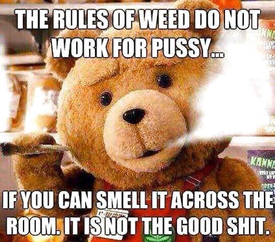 月曜日の楽しみ
 #21709198