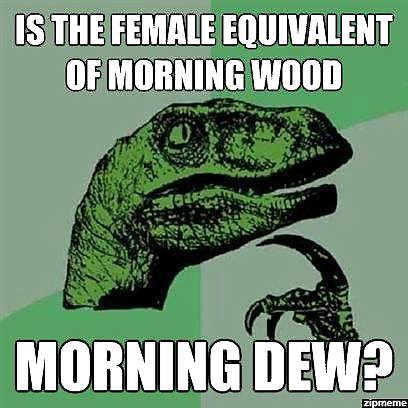 月曜日の楽しみ
 #21709213