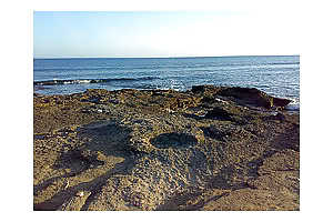 The best beaches 